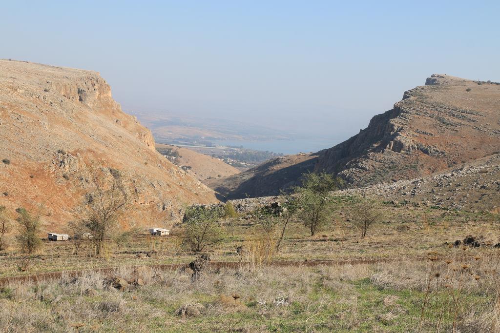 Switzerland In The Arbel Affittacamere Camera foto