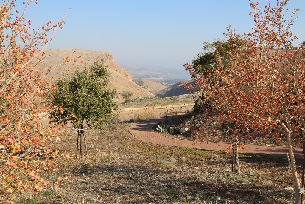 Switzerland In The Arbel Affittacamere Esterno foto